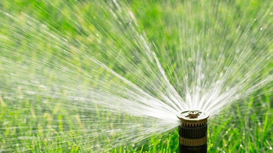 Drip irrigation services in Treasure Valley