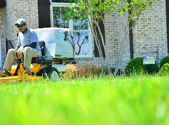 Know how we maintain your lawn