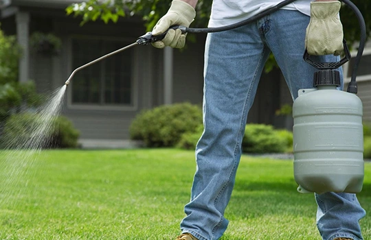 Lawn fertilization and weed control services in Boise id