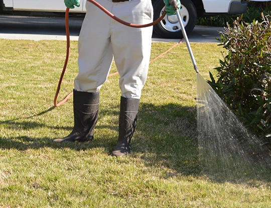 Methods of pest control in Nampa Id